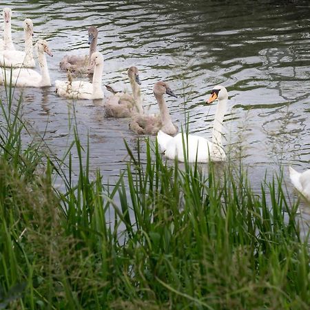 L'Attrap'Reves : Le Confort Hotelier, La Convivialite En Plus Ergersheim Kültér fotó